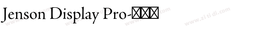 Jenson Display Pro字体转换